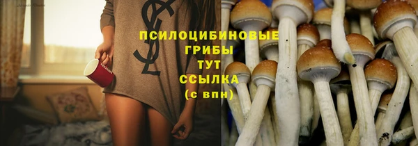 круглые Абаза