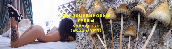 круглые Абаза