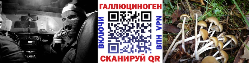 Псилоцибиновые грибы прущие грибы  omg ССЫЛКА  Альметьевск  магазин   